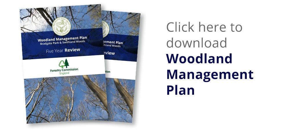 Download the Woodland Management Plan