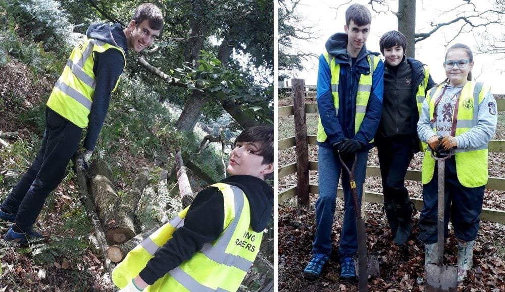 Young Rangers logging and tree planting
