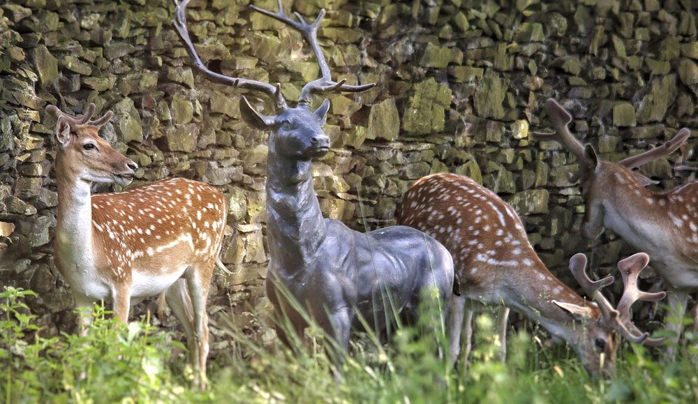 Cast Deer from the Memorial Wood