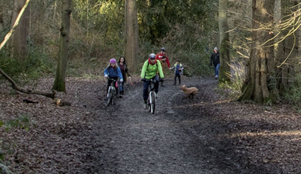 Cycling in a Family Freindly way in Swithland Wood