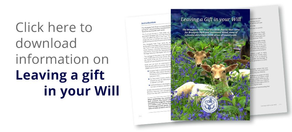 Downlaod information on how to leave a gift in your Will